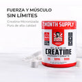 CREATINA MICRONIZADA PURA